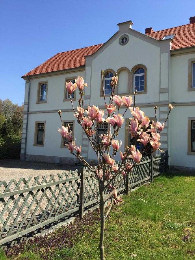 르보베크 슬라스키 Stara Szkola Debowy Gaj The Old School Debowy Gaj B&B 외부 사진