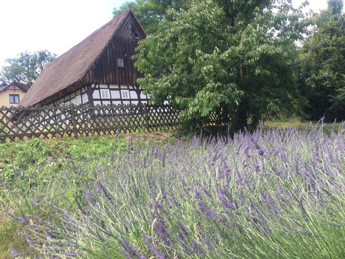 르보베크 슬라스키 Stara Szkola Debowy Gaj The Old School Debowy Gaj B&B 외부 사진